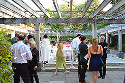 LOVE IN BLOOM AT WISTERIA HALL